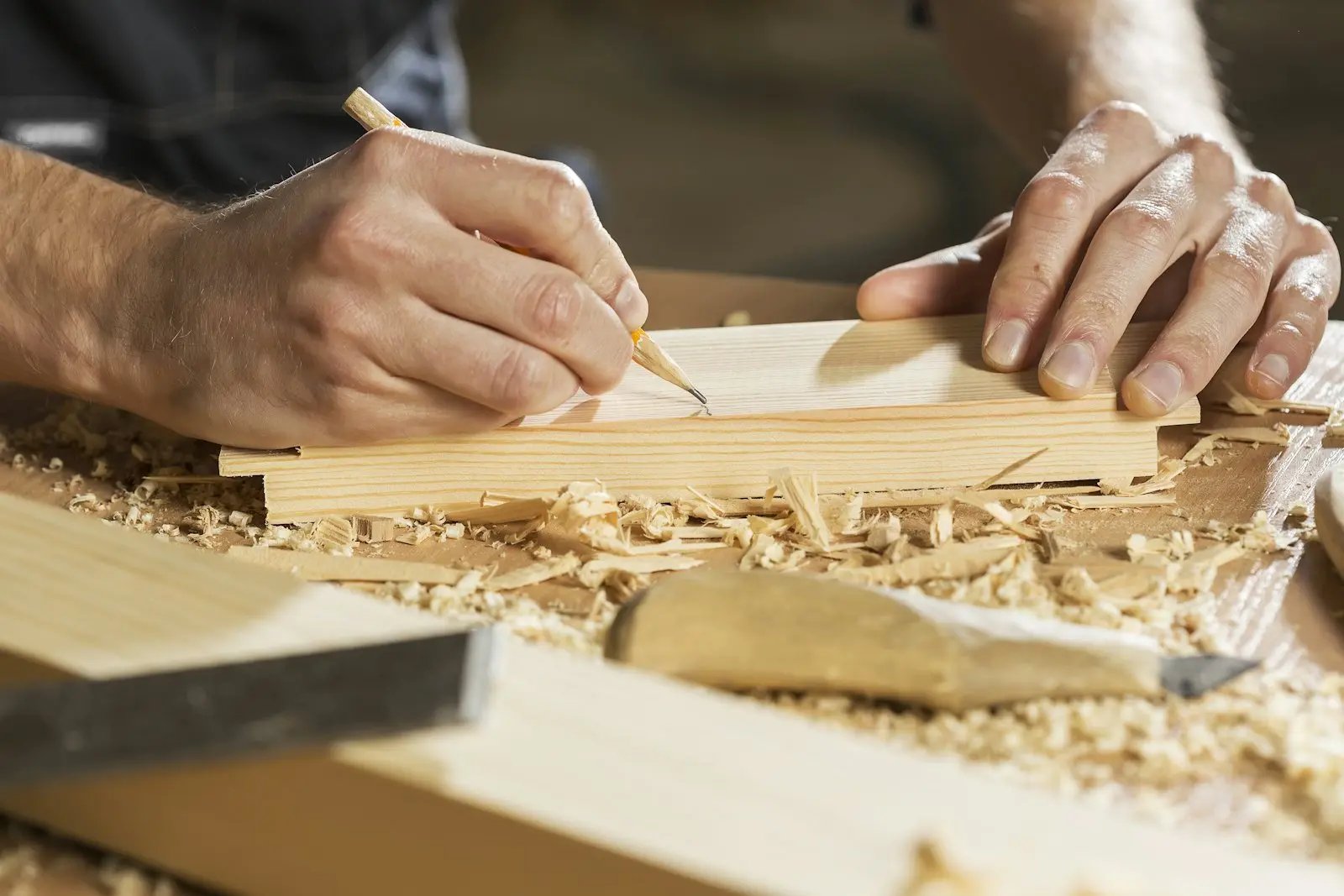 Festival del Legno: immagine indicativa