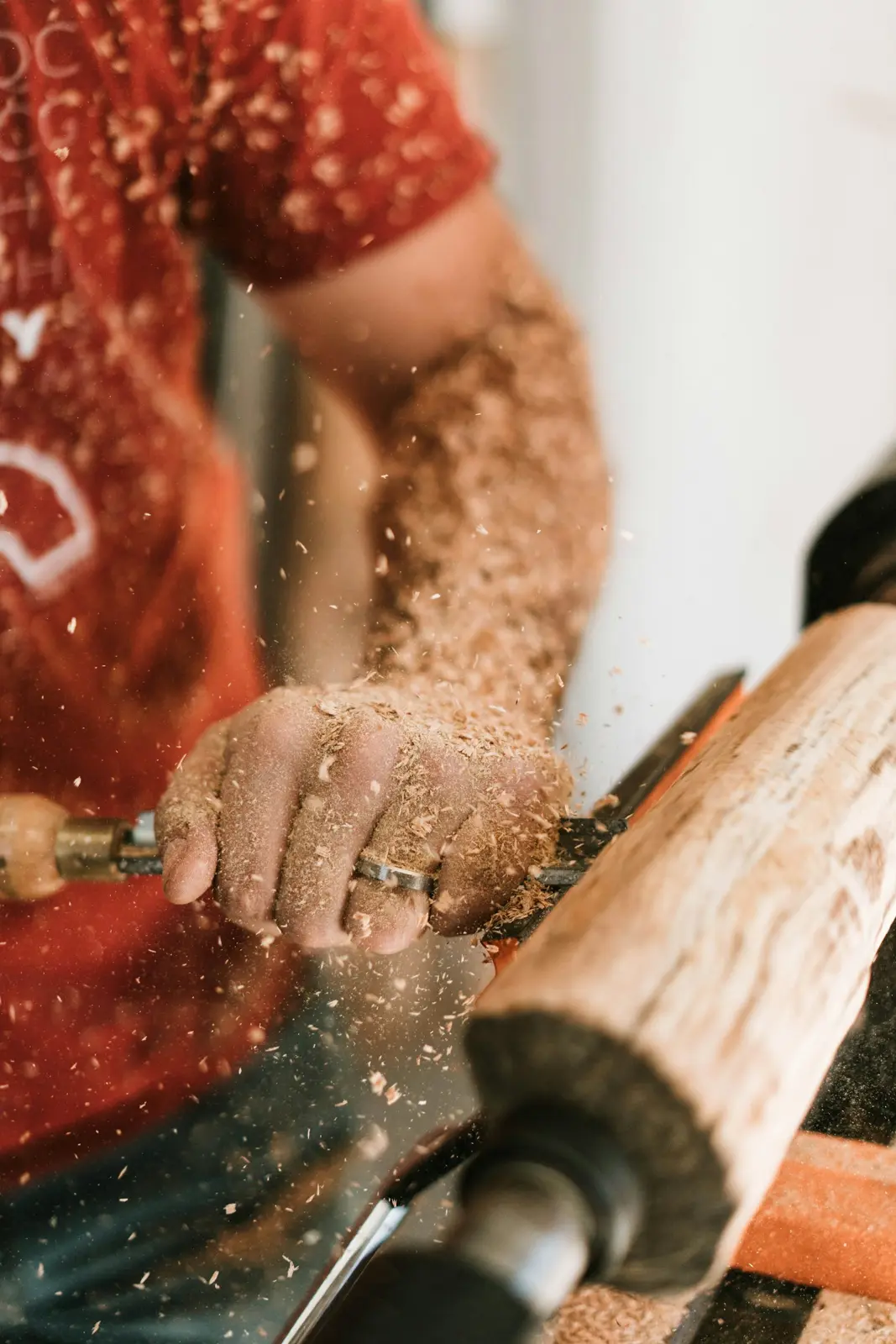 Festival del Legno: immagine indicativa 2